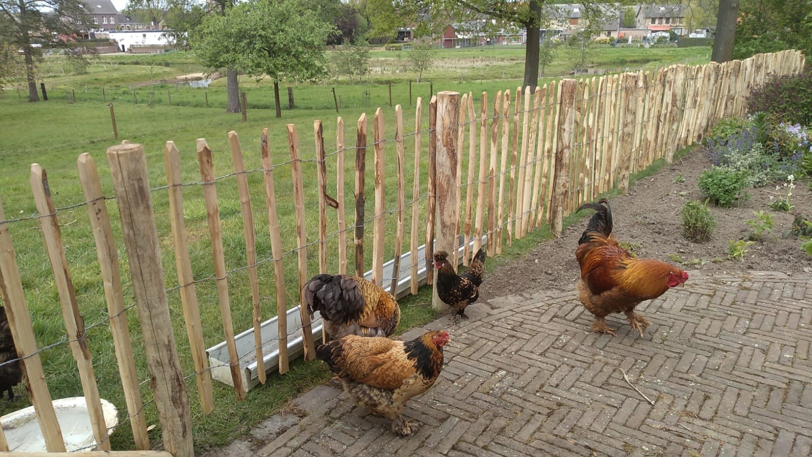 Kastanje hekwerk op rol voor tuin en erf – Houthandel Smets