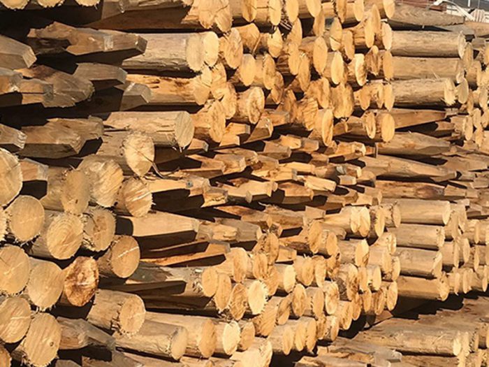 Kasatnje, Robinia. Houthandel Smets, Hekwerk, poorten, afrastering s