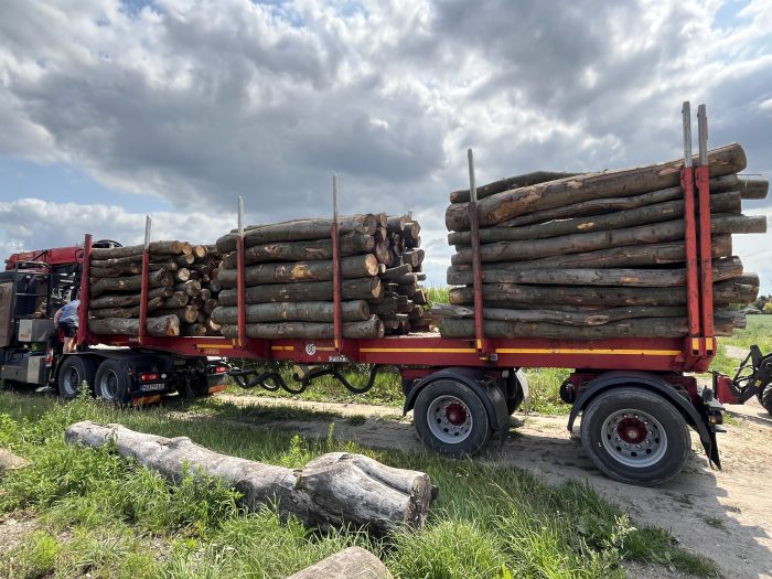 Houthandel Smets, Stammen, brandhout Beuken