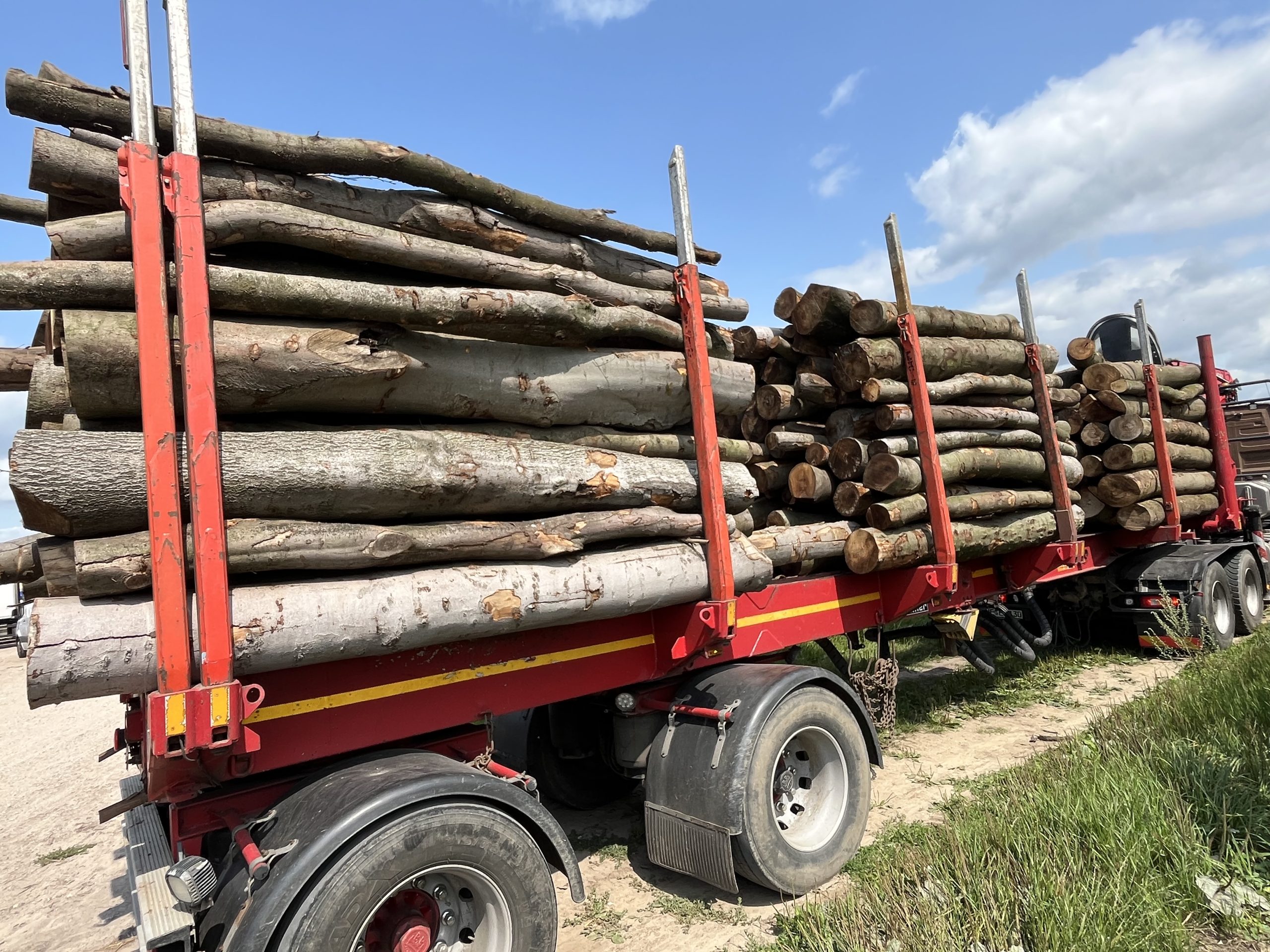 Houthandel Smets Beuken Stammen, haardhout, Brandhout