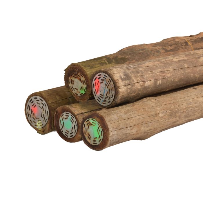 Cloeziana hout Cloeziana palen duurzaam hardhout hardhouten palen tropisch hardhout hout voor schutting hout voor afrastering hout voor beschoeiing Eucalyptus Cloeziana buitenhout duurzaam